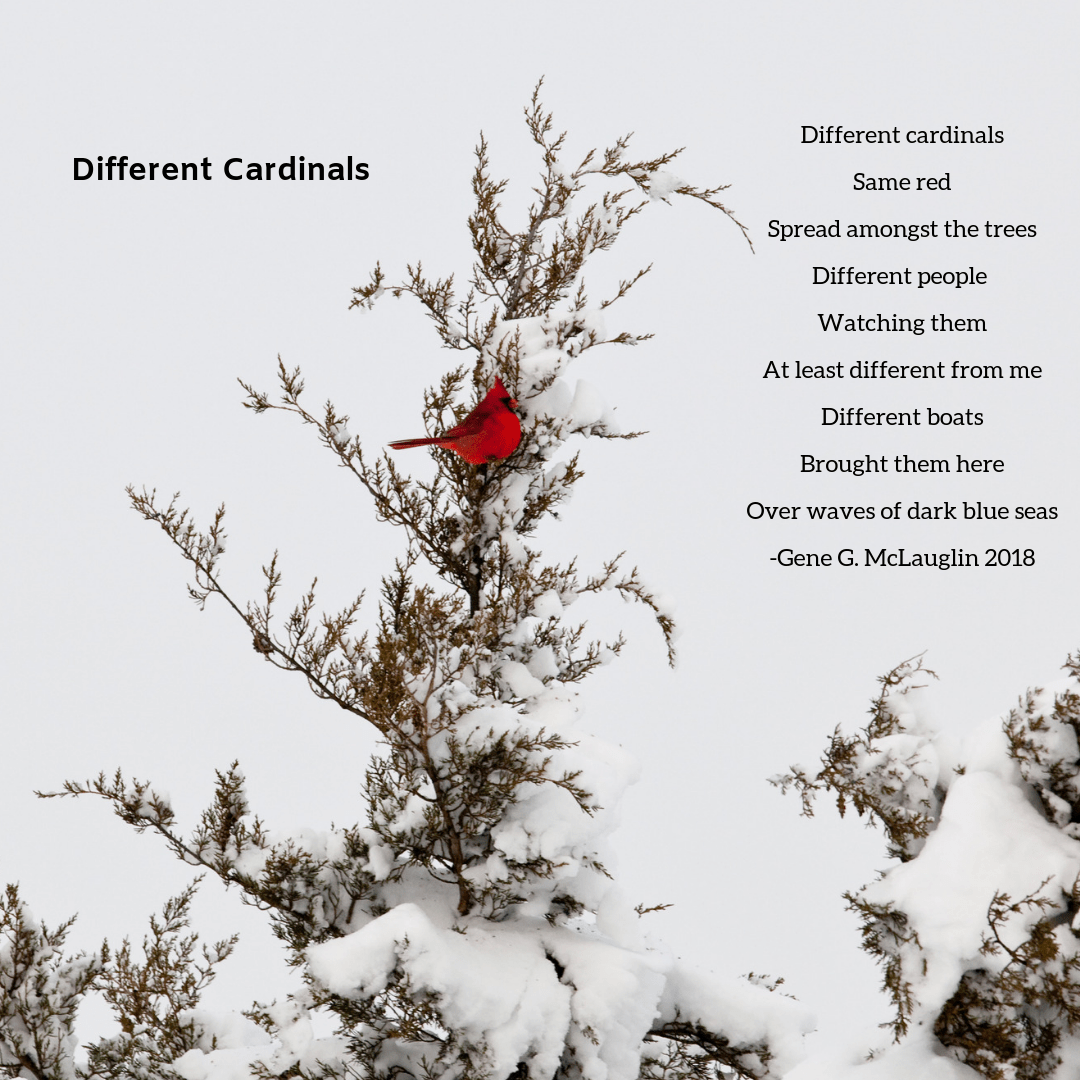 Different Cardinals